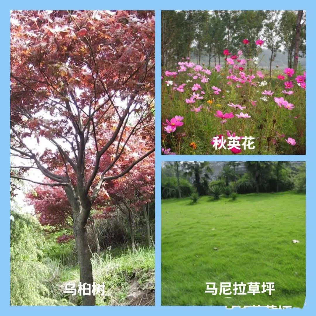 1636710248836329.jpg 微信图片_20211112170733.jpg